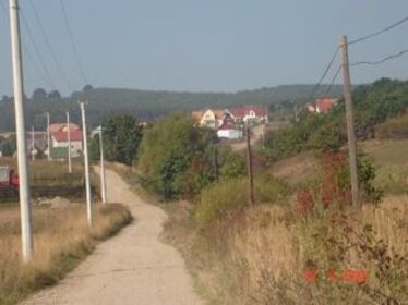 Apró, fekete bogyók (Legelő — telekárban)