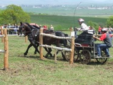 Jó év után bátran tervez a Sepsiszentgyörgyi Lovas Club (Lovaglás) - Áros Károly