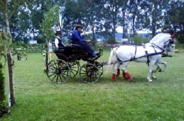 Kecskeméttől a Farm utca 500-ig (Fogathajtás) — Áros Károly