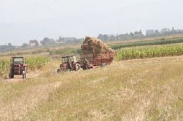 A Balaton Bitánál