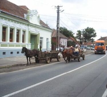 Uzoni útkereső