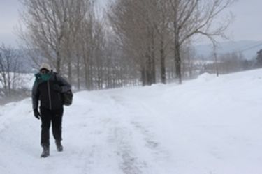 Tomboló télben	  	 Albert Levente felvétele