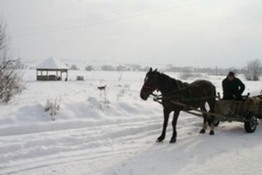 Adóban nincs hiány – csak bírjuk 		        Albert Levente felvételei