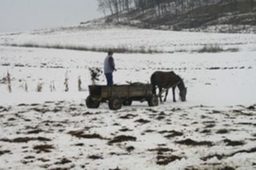 Mérlegen a napszámostörvény (Székely gazdák az unióban)