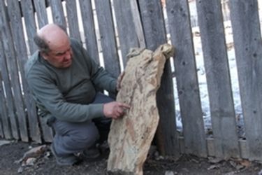 Ősnövénykövületek az uzoni Cseréről