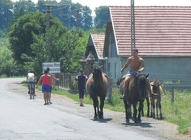 Itatni viszi lovait a nagyborosnyói cigány legény. Két kancája, két csikója ménesnek ugyan nem nevezhető, de az állatokat, a gazda lószeretetét bárki megcsodálhatja. S még mondjuk, hogy a magyar az igazi lovas nemzet…            Kép és szöveg: Bokor Gábor