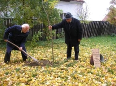 Szőts Dániel és Damó Gyula