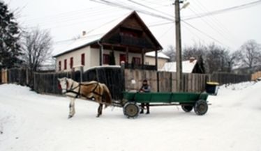 Alakuló húzóágazat (Székely gazdák az unióban)