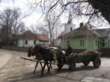 Kapaszkodó Bita