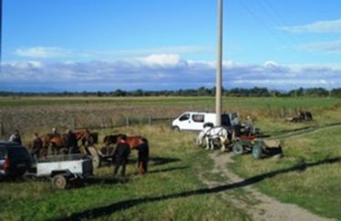 Elmaradt a Róza-napi forgatag. A szerző felvétele