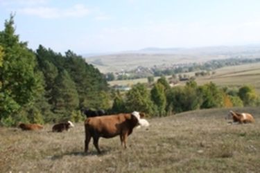 Számon kérték a bölöni községvezetést