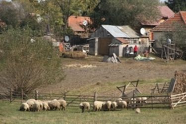 Ősz a gazdasági udvarban