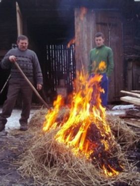 Karácsony előtti készülődés a disznótorra              Fotó: Ferencz Csaba