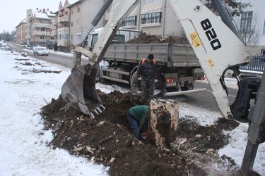 Kiássák a gyökereket. Albert Levente felvétele