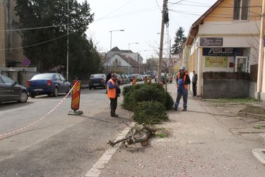 Felszámolják a zöldövezetet. Albert Levente felvétele