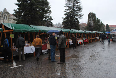 A szerző felvétele