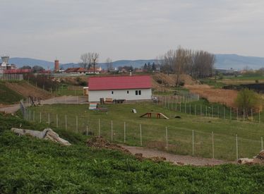 A kutyamenhely állatorvosi rendelője. A szerző felvétele