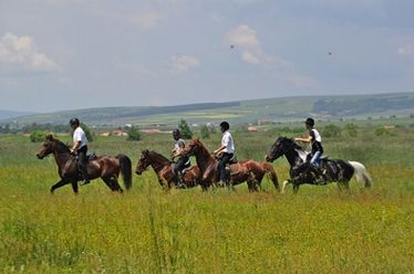 Fotó: Gurka Tünde