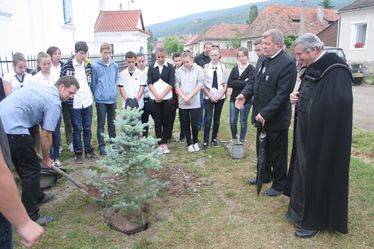 Fenyőcsemetét ültettek.  A szerző felvétele