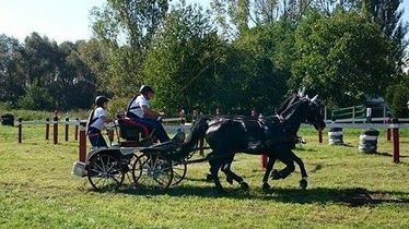 Fotó: Miska Brigitta