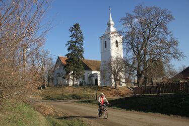 Mezőföld felől fehérlik már a lécfalvi torony. Albert Levente felvétele