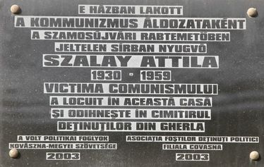 A szabadságra vágyó erdélyi magyarság 1956-ban (A zöldhatáron átszökő ötvenhatos erdélyi fiatalok)