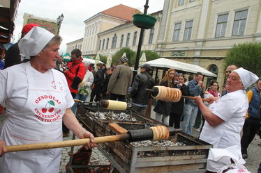 Munkában a fődíjas csapat. Albert Levente felvételei