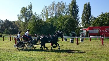 A szerző felvétele