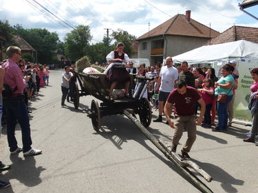 A szerző felvétele