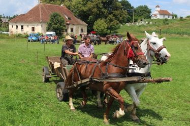 Ügyességi verseny. A szerző felvétele