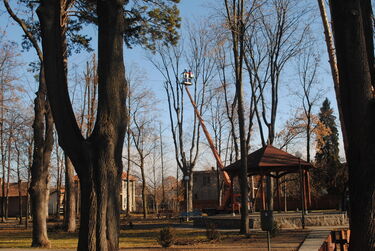 A Molnár Józsiás park. A szerző felvétele