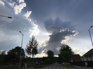 Felhősárkány. Fotó: Ferencz Csaba