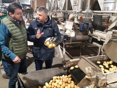 Becsek László farmernél a burgonyatermesztés problémáiról tájékozódott Könczei Csaba (balról). A szerző felvétele