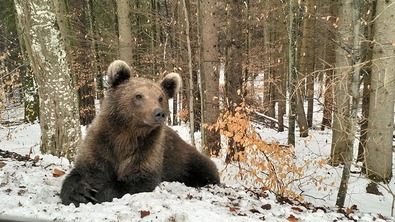 Babos Zoltán felvétele