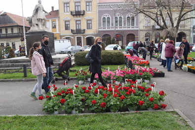 A szerző felvétele