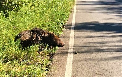 Képünk illusztráció. Fotó: msnews.ro