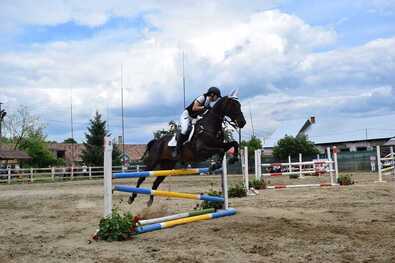 Taroltak az árkosi és Benedek-mezei sportolók (Lovassport)