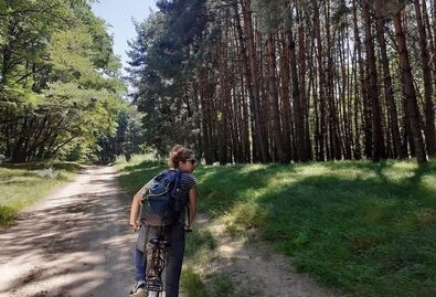 A Rétyi Nyír ma is kedvelt helye a kerékpározóknak. Fotó: Farcádi Botond