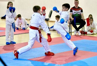 Közel százan szerepeltek a háziversenyen (Karate)