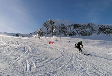 Céljuk, hogy belföldön és külföldön is helytálljanak (Alpesi sí)