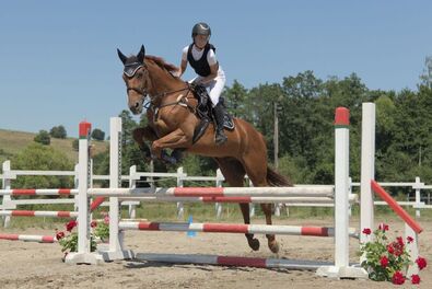 Taroltak a háromszéki versenyzők Benedek-mezőn (Lovassport)