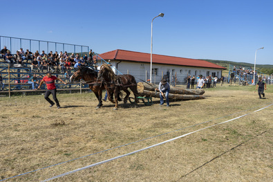 A 2019-ben megszervezett torjai lovasverseny iránt nagy volt az érdeklődés. Fotó: Bartos Lóránt
