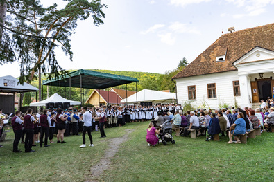 Több százan látogattak ki a múzeumkertbe. Fotó: Bartos Lóránt