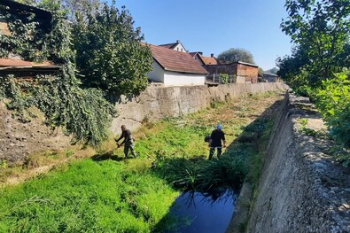 Lépésről lépésre irtják a gazt a patakmederben. Fotó: Deák Attila